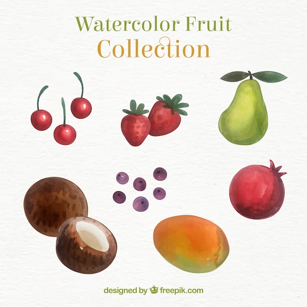 Free Vector selection of delicious fruits in watercolor style