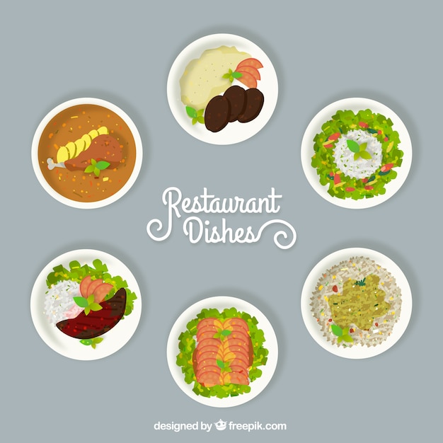 Free Vector selection of different restaurant dishes