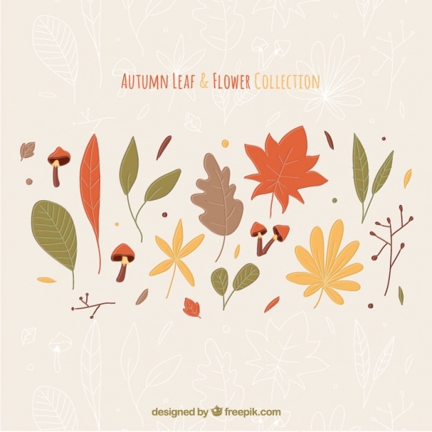 Free vector selection of flowers and leaves with different colors