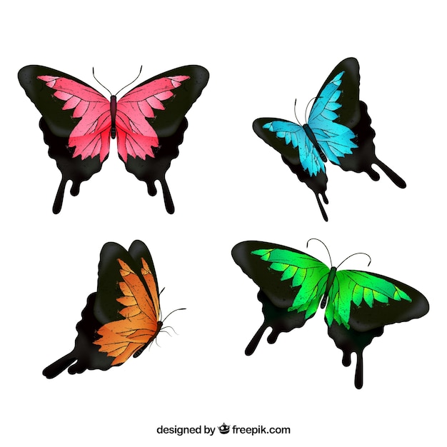 Selection of four colored butterflies