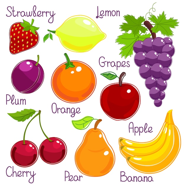 Free Vector selection of fresh whole colorful tropical fruit with labels