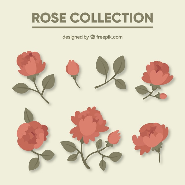 Free Vector selection of roses in red tones