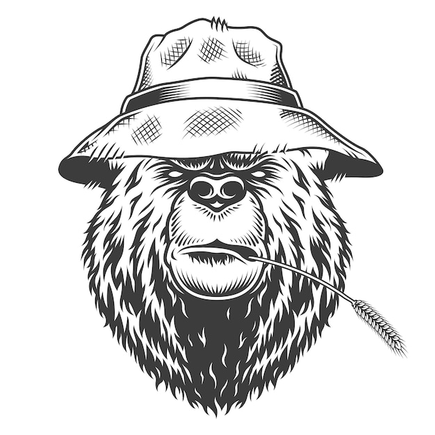 Free vector serious bear head wearing panama hat