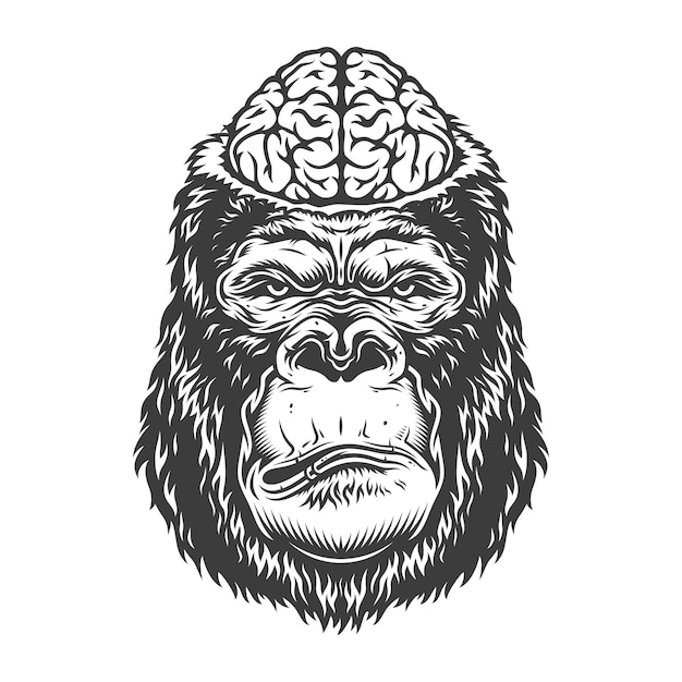 Free Vector serious gorilla in monochrome style