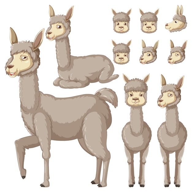 Free vector set of alpaca cartoon character with head and facial expression