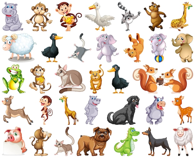 Set of animal cartoon character