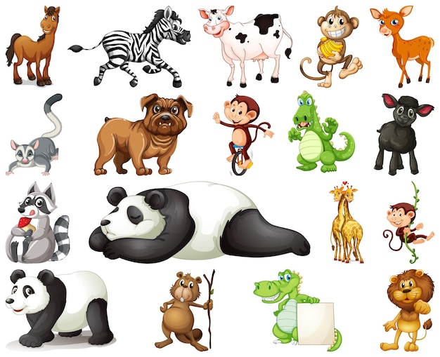 Set of animal cartoon character