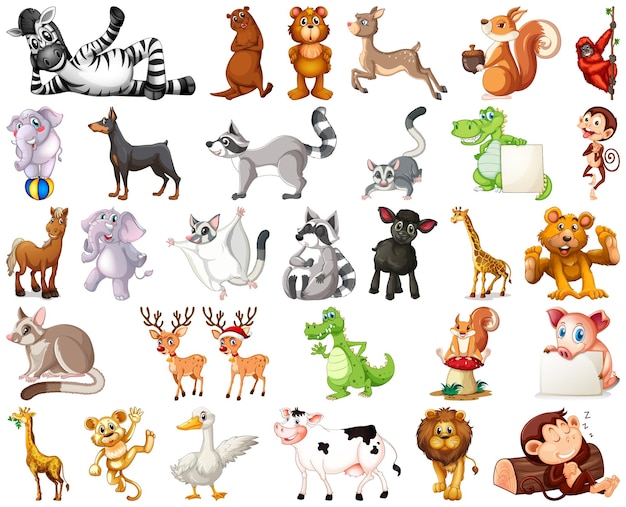 Set of animal cartoon character