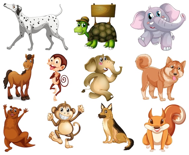 Set of animal cartoon character