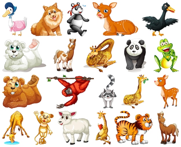 Set of animal cartoon character