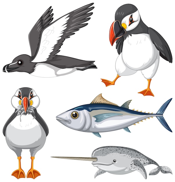 Free Vector set of animal cartoon