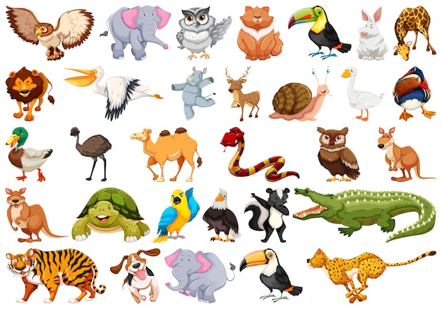 Set of animal character