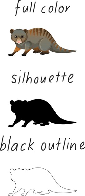 Set of animal in color, silhouette and black outline on white background