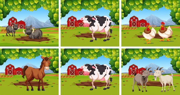 Free Vector set of animals on farms