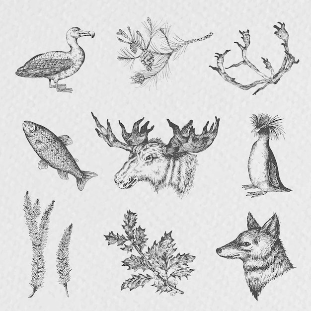 Free vector set of animals, sketch style