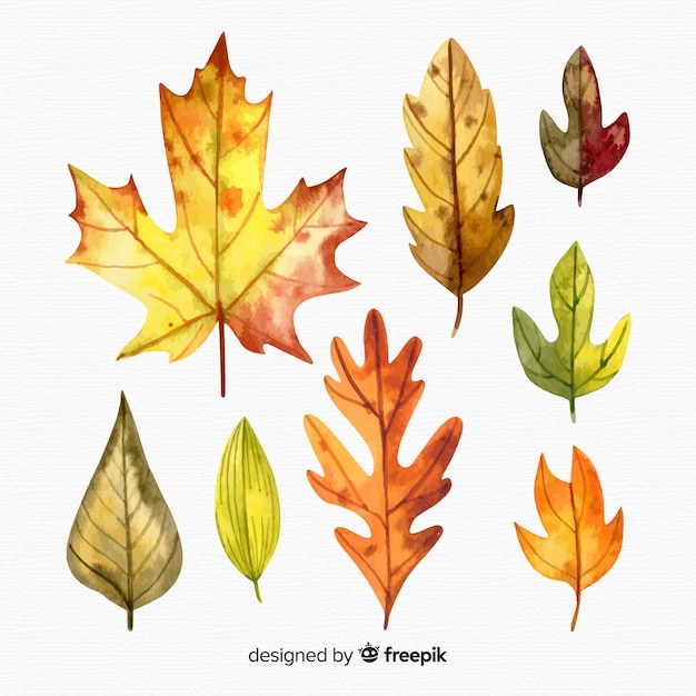 Set of autumn leaves watercolor style