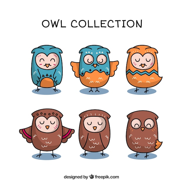 Free vector set of beautiful hand drawn owls