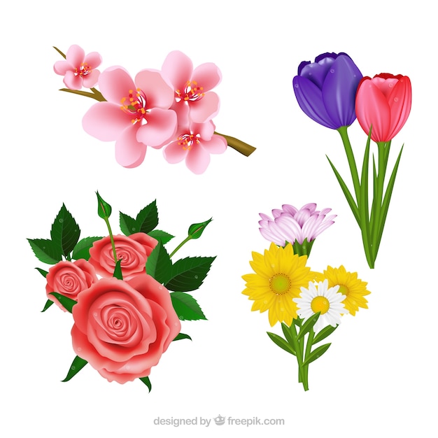 Set of beautiful realistic flowers