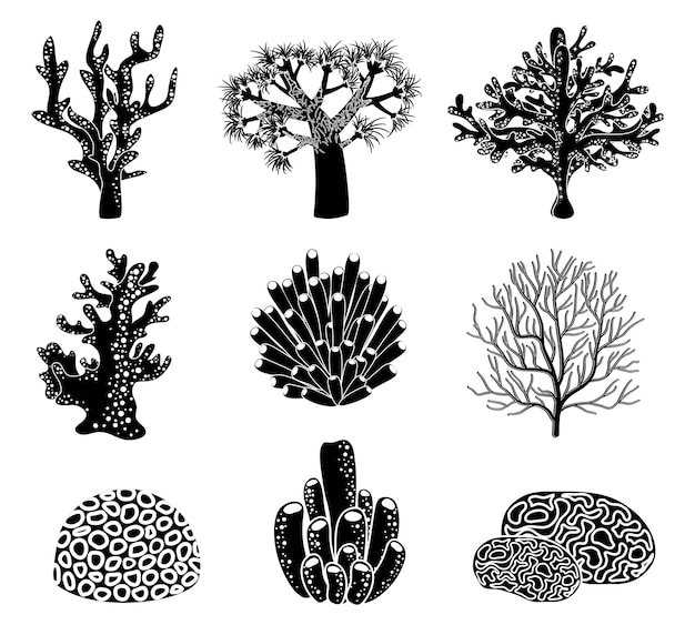 set of black coral silhouettes.