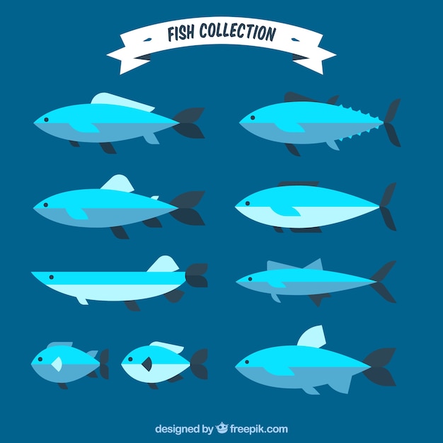 Set of blue fishes in flat style