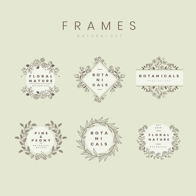 Free Vector set of botanical frame design elements vector