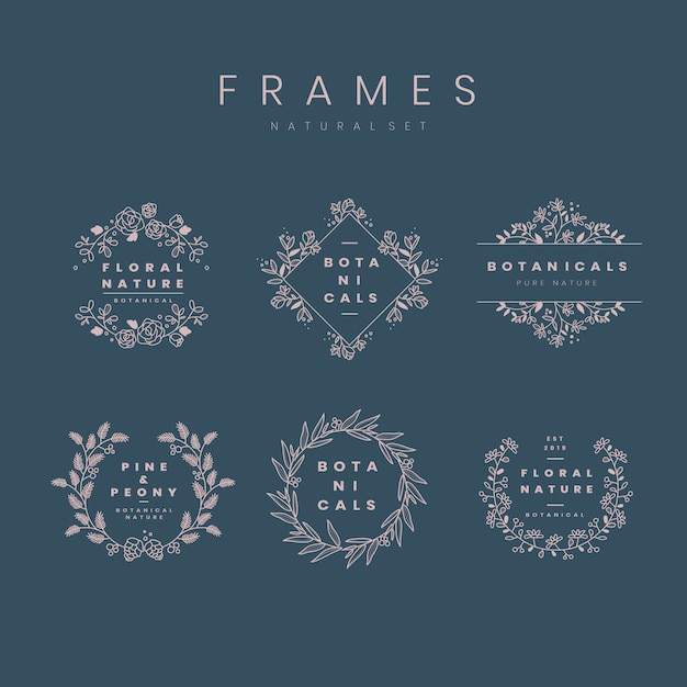 Free Vector set of botanical frame design elements vector