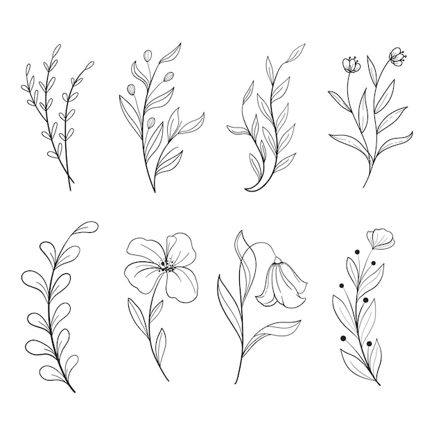 Free Vector set of botanical leaf doodle wildflower botanical line art drawings collection