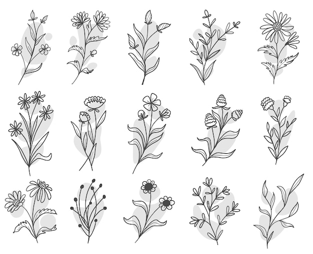 Set of botanical leaf doodle wildflower line art