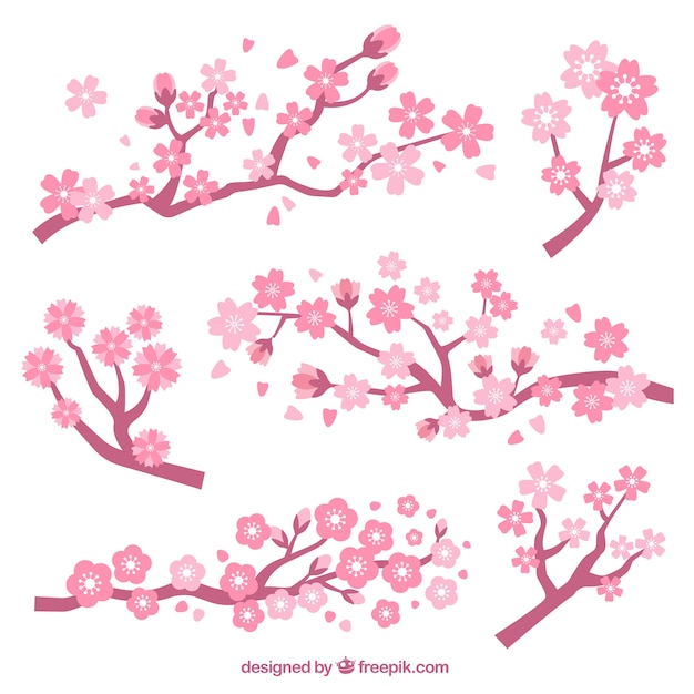 Set of branches with cherry blossoms