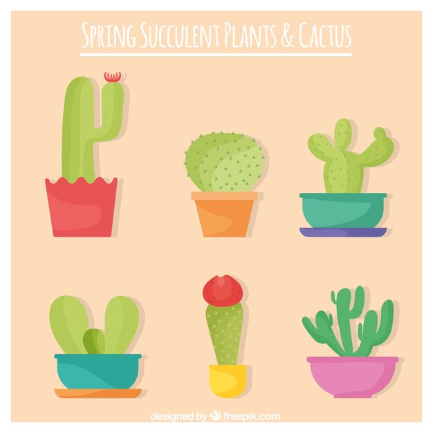 Set of cactus in flat design