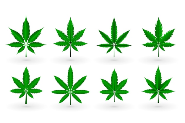 Free vector set of cannabis marijuana weed leaves