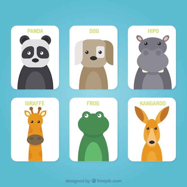 Set of cards with flat animal faces