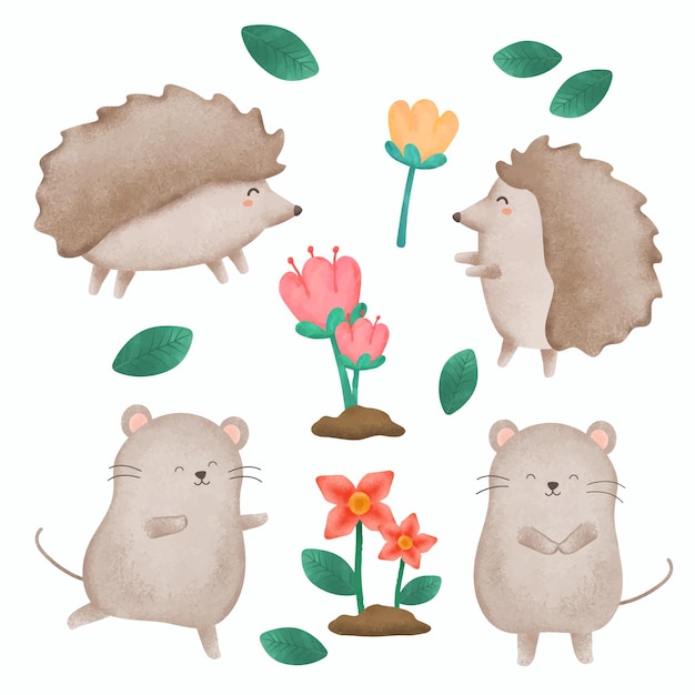 Free vector set of cartoon animals in water color dwarf hedgehog and rat in cartoon character with flower in summer time flat design vector illustration