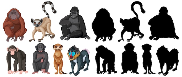 Free Vector set of cartoon animals with silhouette