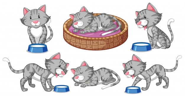 Set of cat character