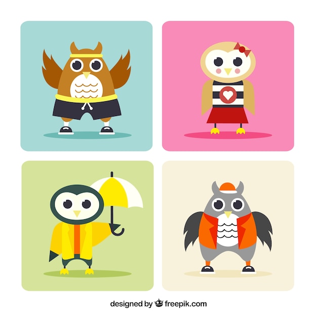 Set of colorful characters of owls with clothes