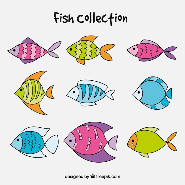 Free Vector set of colorful fish