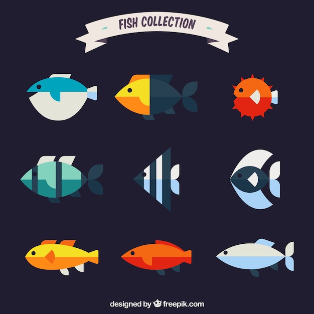 Set of colorful fishes in flat style