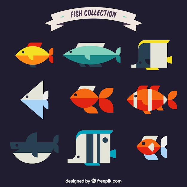 Set of colorful fishes in flat style