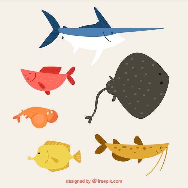 Free Vector set of colorful fishes in flat style