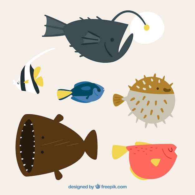 Free Vector set of colorful fishes in flat style