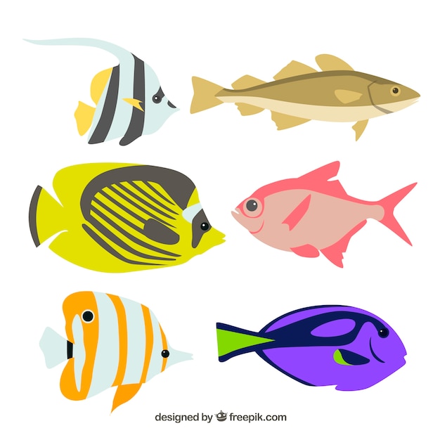 Free Vector set of colorful fishes in flat style