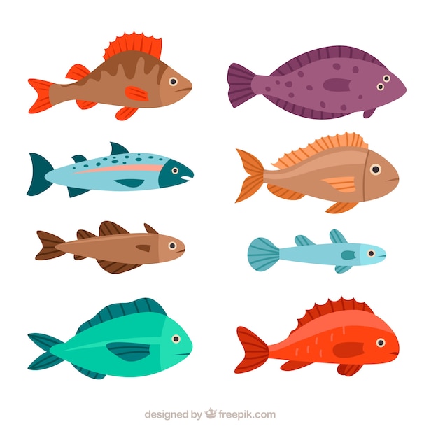 Set of colorful fishes in flat style