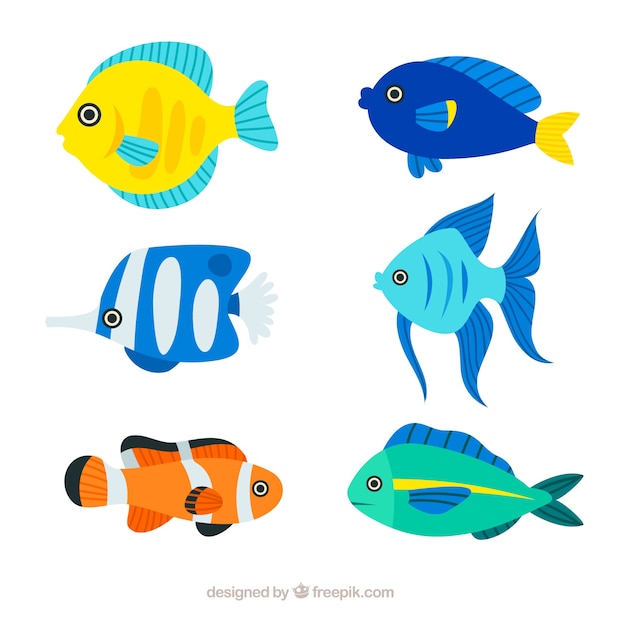 Free Vector set of colorful fishes in flat style