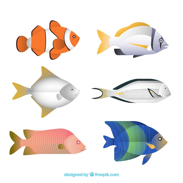 Free Vector set of colorful fishes in flat style