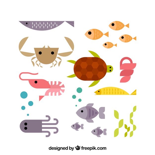 Set of colorful fishes in flat style