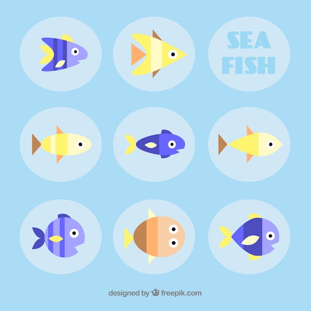 Free Vector set of colorful fishes in flat style