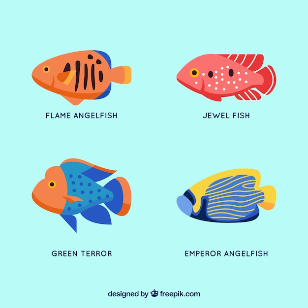 Free Vector set of colorful fishes in flat style