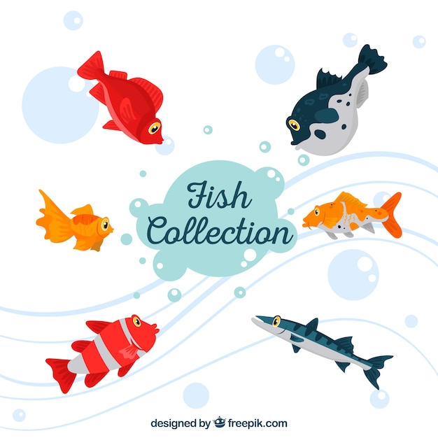 Set of colorful fishes in flat style