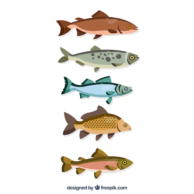 Set of colorful fishes in flat style